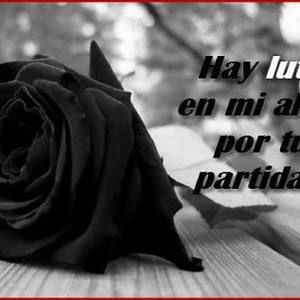 Meet your Posher, Leonel